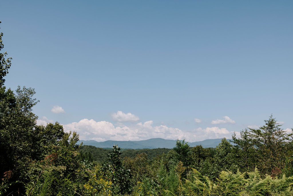 Full Service Wedding Planner NC