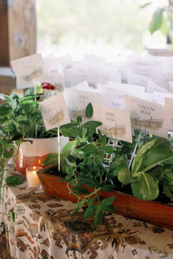 Escort Display with plants