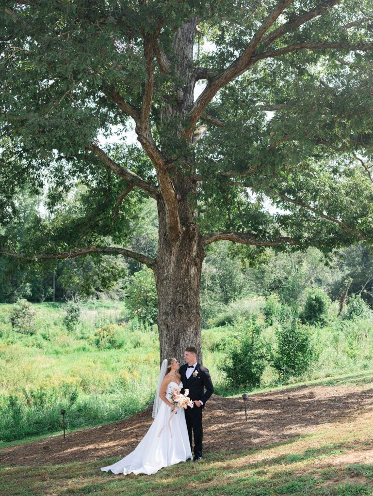 Bride and groom under the oak tree at Donovan Manor